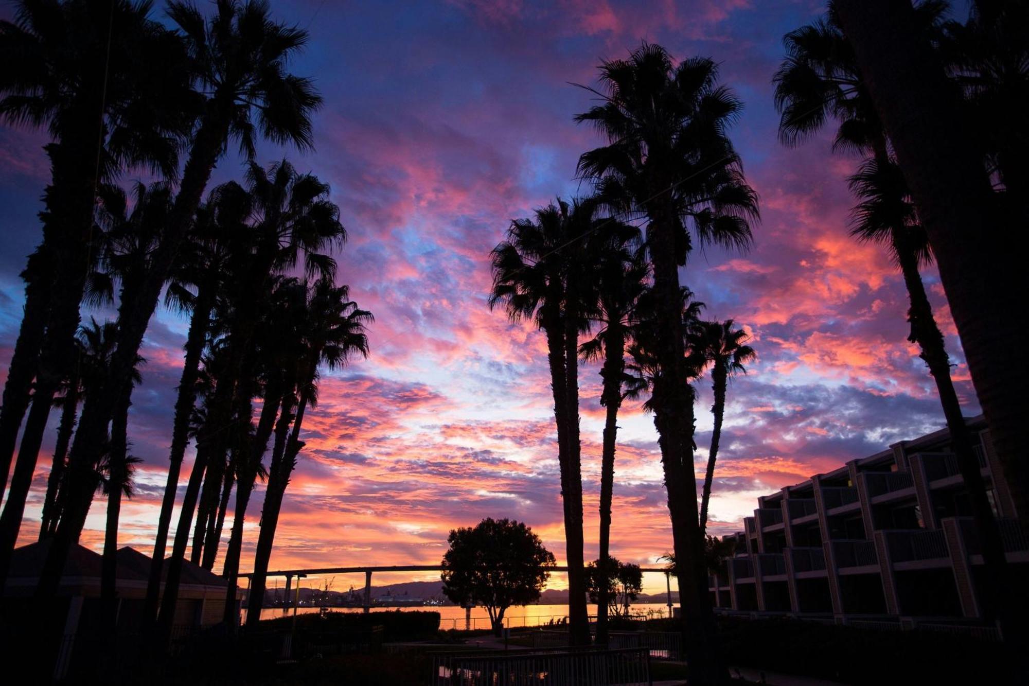 Coronado Island Marriott Resort & Spa San Diego Dış mekan fotoğraf
